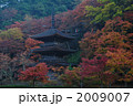 2009007