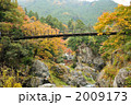 秋の鳩ノ巣渓谷・吊り橋