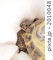 2010048