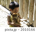 柴犬と男の子
