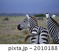 なかよし兄弟