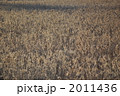 2011436