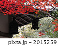 ２０１０年紅葉