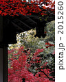 ２０１０年紅葉
