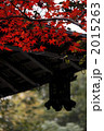 ２０１０年紅葉