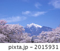 甲斐駒ケ岳と桜