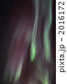 光のシャワー