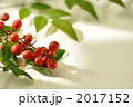 難を転じるナンテン！