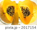 パパイヤ