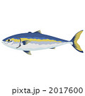 2017600