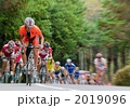 サイクルロードレース