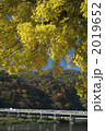 京都　嵐山の紅葉