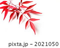 紅葉した南天の葉