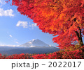 河口湖畔のモミジと富士山-7722
