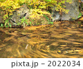 紅葉と池の流れ-14469