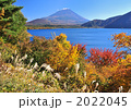 本栖湖畔の紅葉と富士山-7672