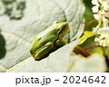 2024642