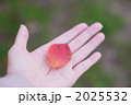 手のひらにのせた赤い葉