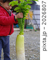大根と子供