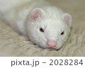 2028284