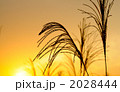 2028444