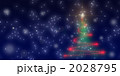 夜の雪の中　緑と赤と金の光のクリスマスツリー