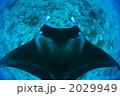 2029949