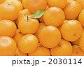 みかん