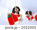 2032005