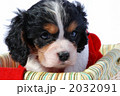 2032091