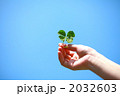 青空に四葉のクローバー