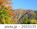 岐阜県の秋の紅葉