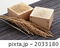 升に盛った玄米と白米