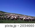80085