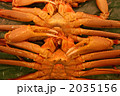 蟹