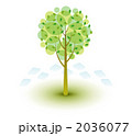 2036077