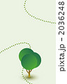 2036248