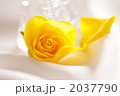 2037790