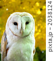 2038124