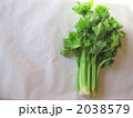 一株のセロリ