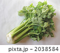 一株のセロリ