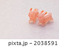 うさぎ