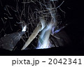 焚き火の炎