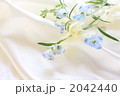 デルフィニウムの背景イメージ