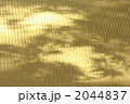 畳に映ったモミジの影