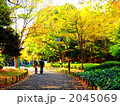 上野公園・紅葉