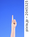 2045325