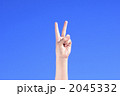 2045332