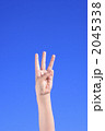 2045338