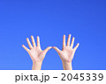 2045339